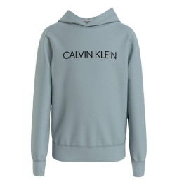 Calvin Klein kids institutional logo hoodie