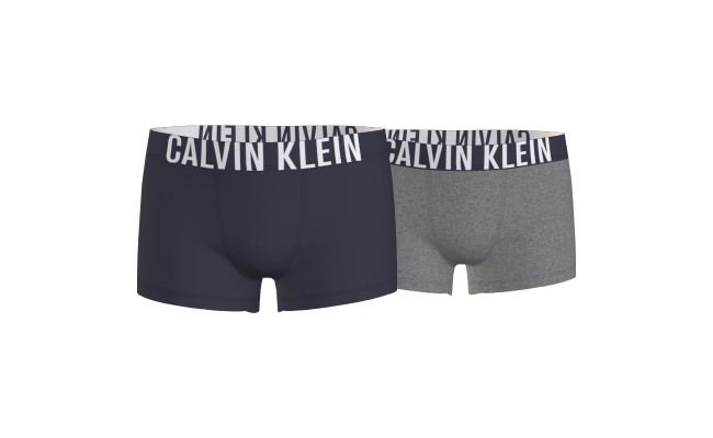 Calvin Klein kids 2pk trunks