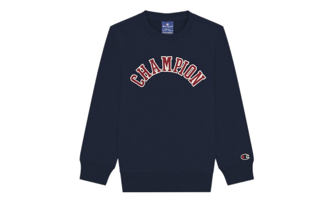Champion Kids crewneck sweatshirt