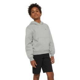 Dickies kids Youth mapleton hoodie
