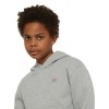 Dickies kids Youth mapleton hoodie