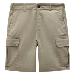 Dickies Nillerville shorts