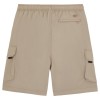 Dickies Jacson cargo shorts