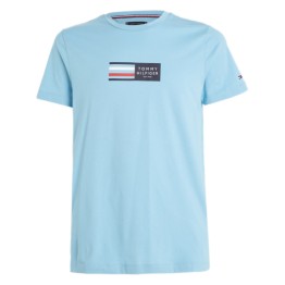 Tommy Hilfiger corp graphic tee