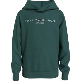 Tommy Hilfiger kids esemtial hoodie