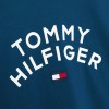 Tommy Hilfiger kids Tommy Hilfger flag