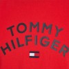 Tommy Hilfiger kids Tommy Hilfger flag