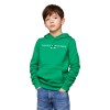 Tommy Hilfiger kids Essential hoodie